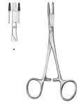 SSI-24-153